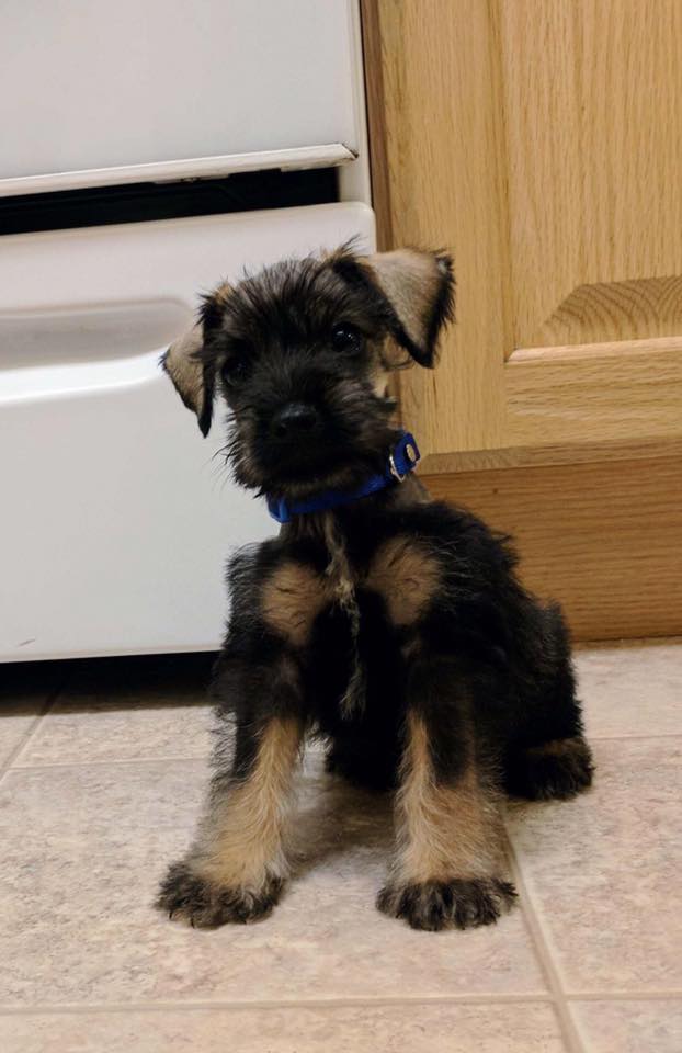 21728488_10101165939356549_6763656105648616333_n